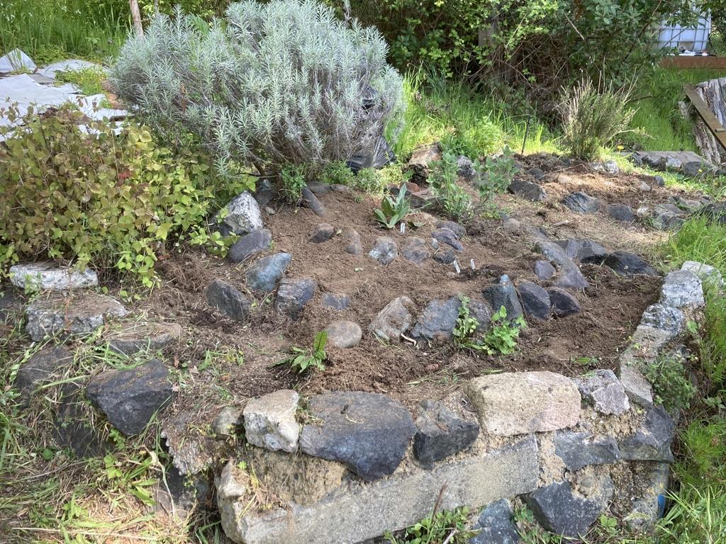 Indigenous Garden