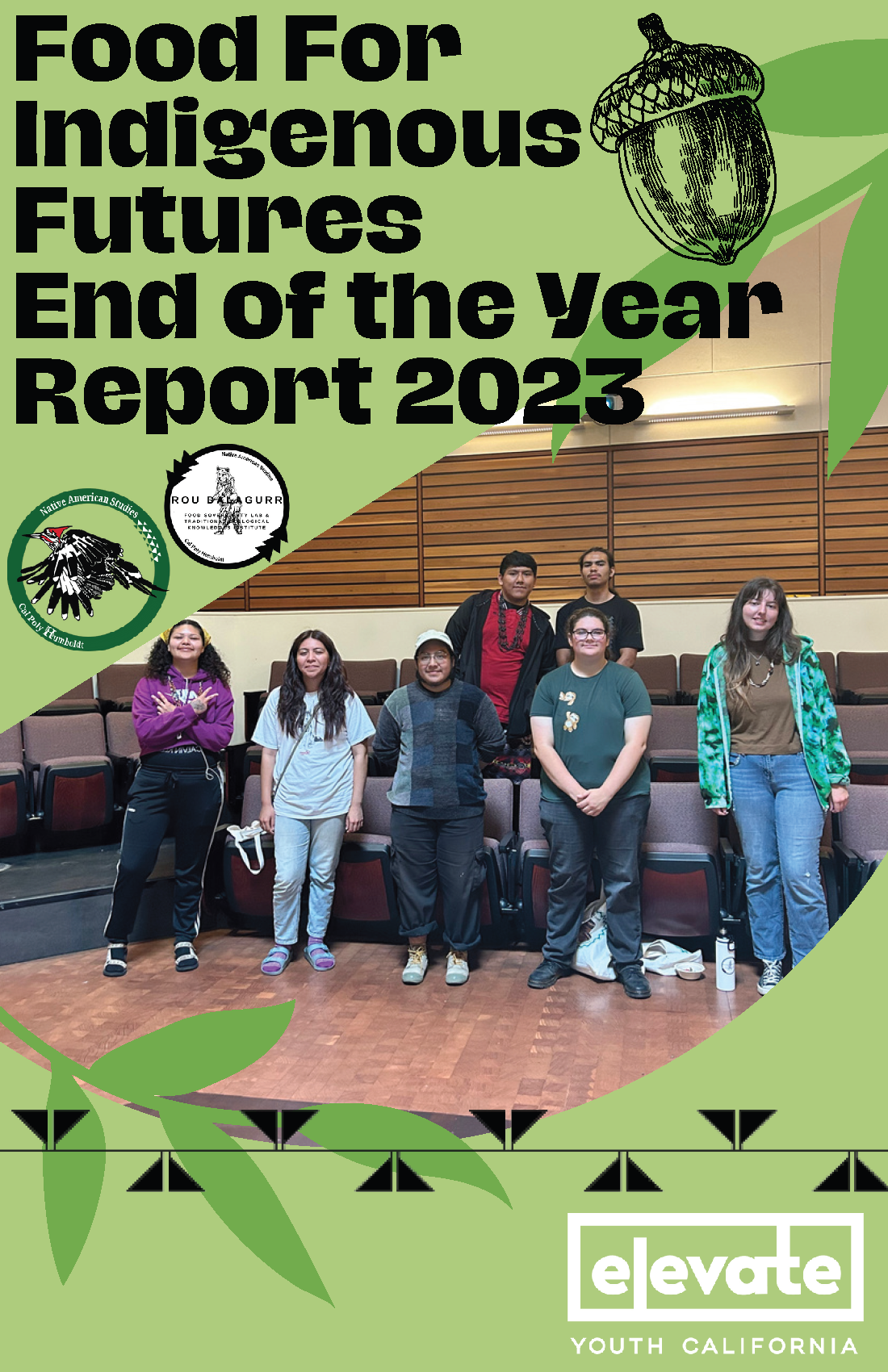 FIF Report 2023 Cover