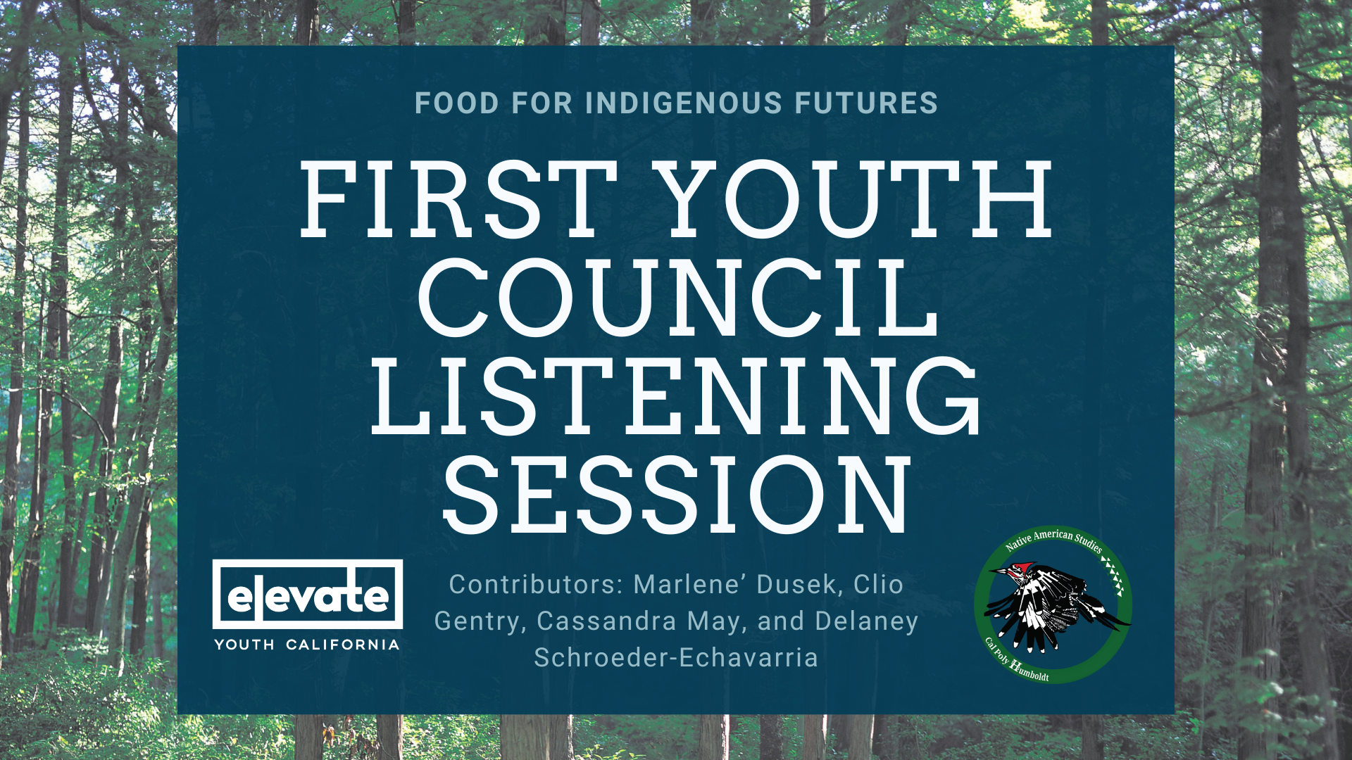 First Youth Council Listening Session Cover
