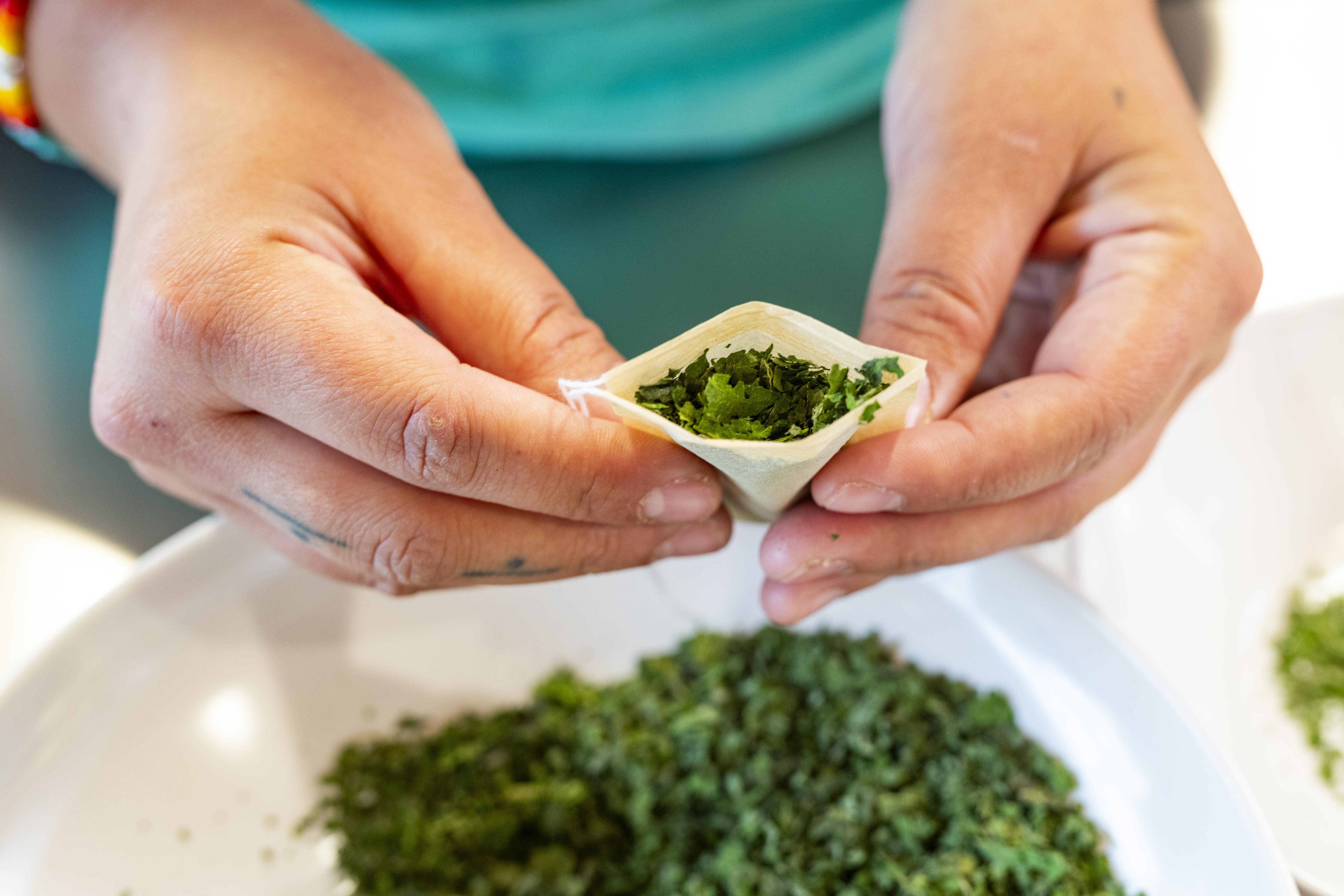 FSL staff member putting dried leaves into a tea bag
