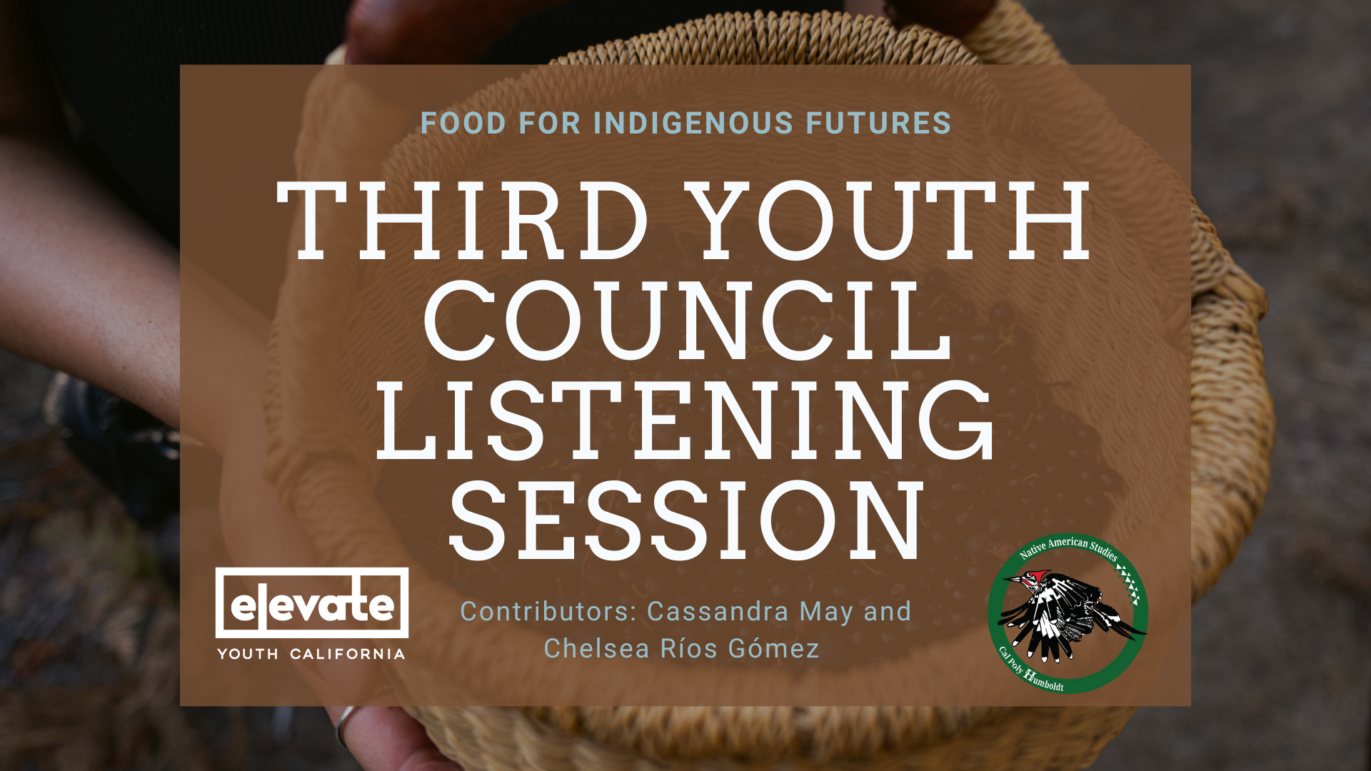 Third Youth Council Listening Session Cover