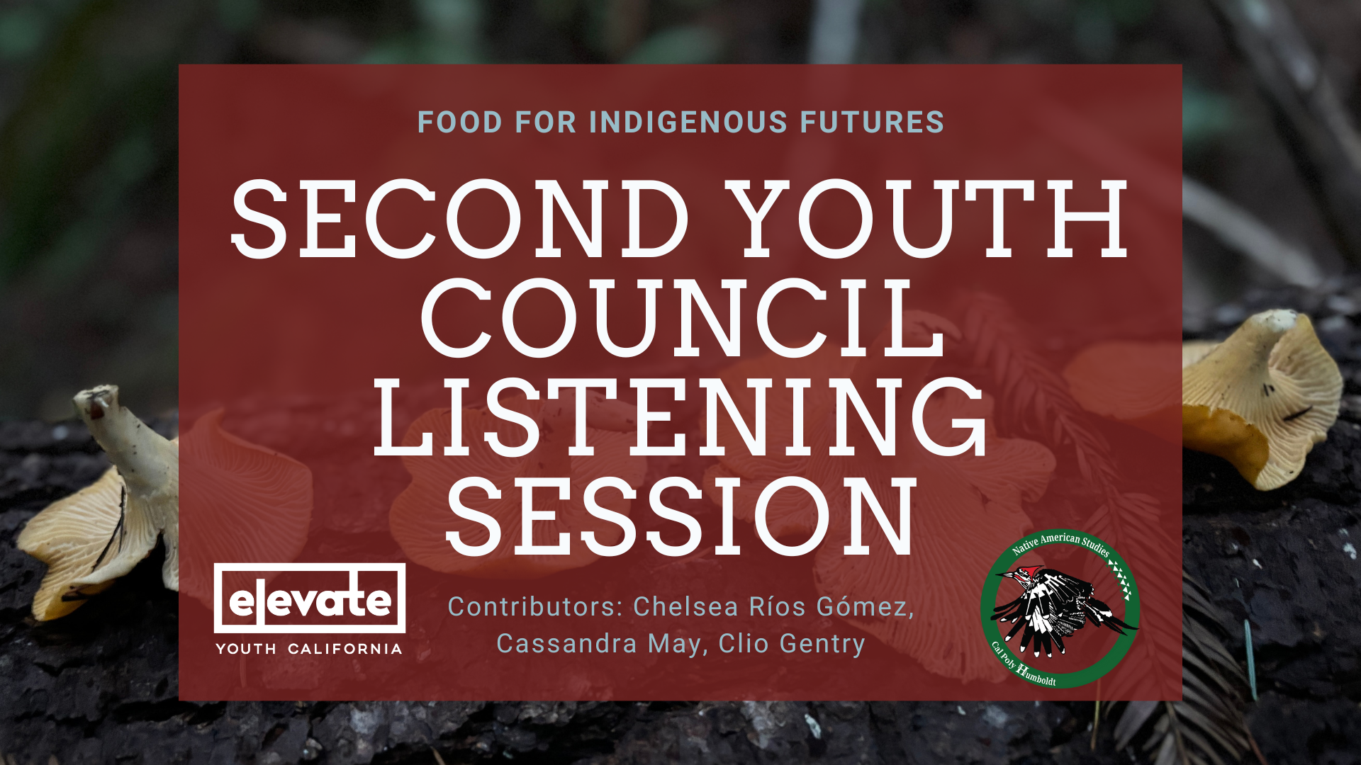 Second Youth Council Listening Session Cover